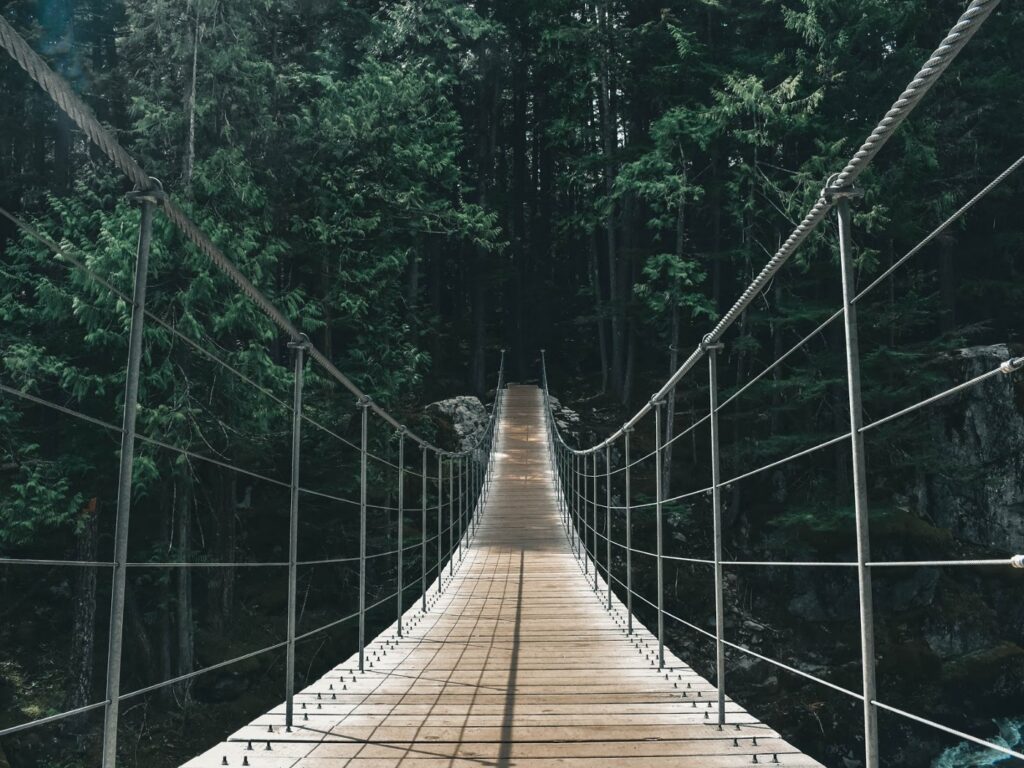 rope foot bridge